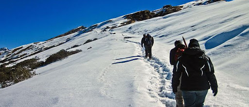 Chopta Trekking Tour Packages